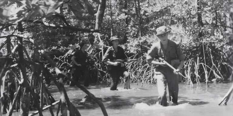 The Battle for Legitimacy: Principles for Counterinsurgency
